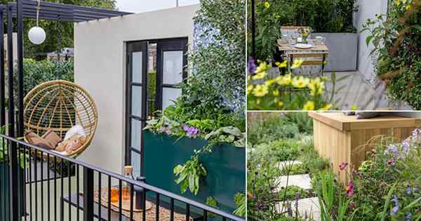 5 idea taman balkoni kecil dari pertunjukan bunga chelsea 2021