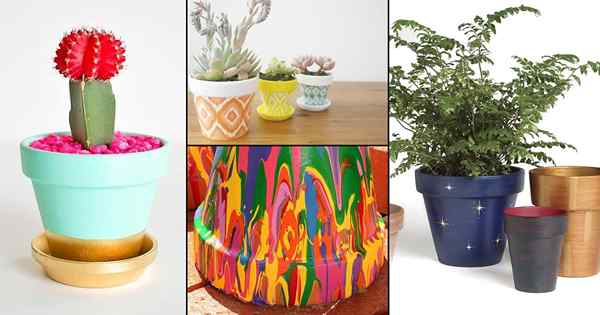 50 Ideas de pintura de olla de bricolaje para el jardín