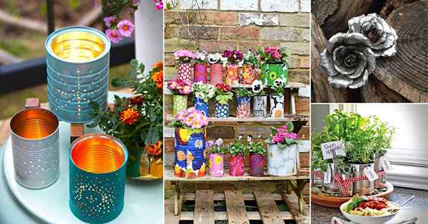 51 Idéias incríveis de lata de bricolage para jardim