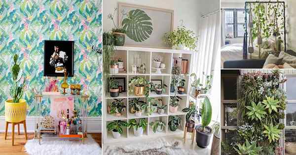 54 Ideas modernas de exhibición de plantas interiores para su hogar