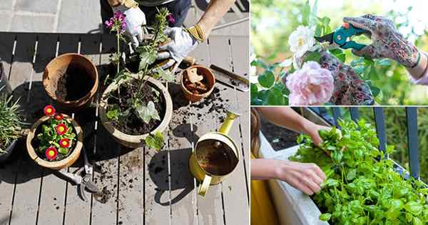 9 Gardening des choses que vous ne devriez jamais faire l'après-midi