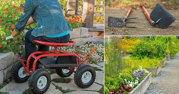 Hacks de jardinería para jardineros senior