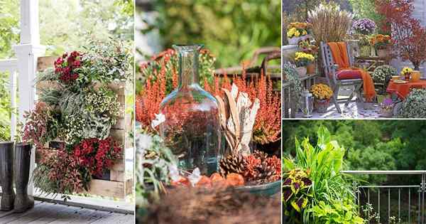 Comment faire un jardin de balcon d'automne 6 façons