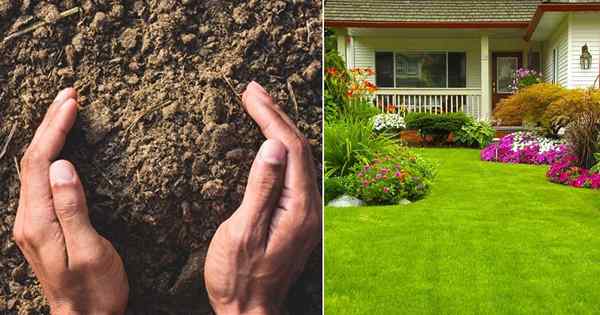 Tipps zur Erhöhung der Bodenbakterien im Garten