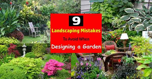 10 erros de paisagismo a serem evitados ao projetar um jardim