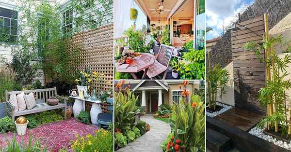 15 tendências legais de jardinagem que você testemunhará em 2022