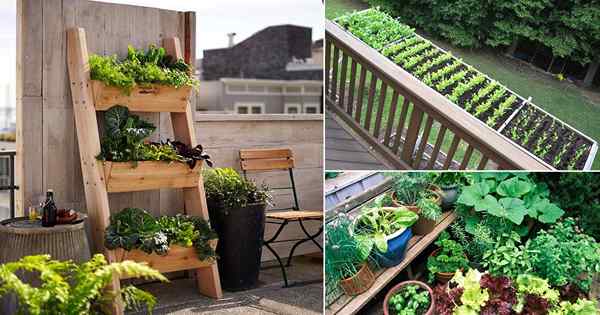 15 Deck Gemüsegarten Ideen, um mehr in weniger Raum zu wachsen