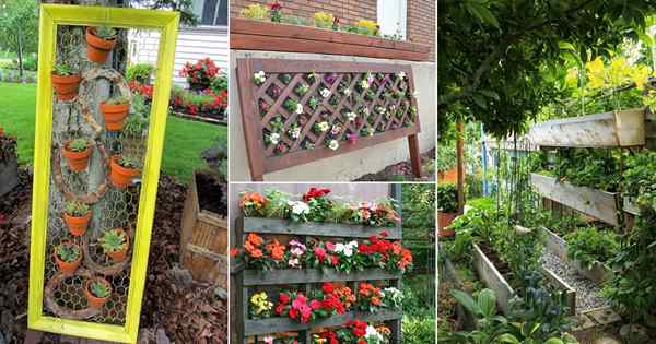 15 Idées de lit de jardin vertical bricolage pour les arrière-cours et les jardins