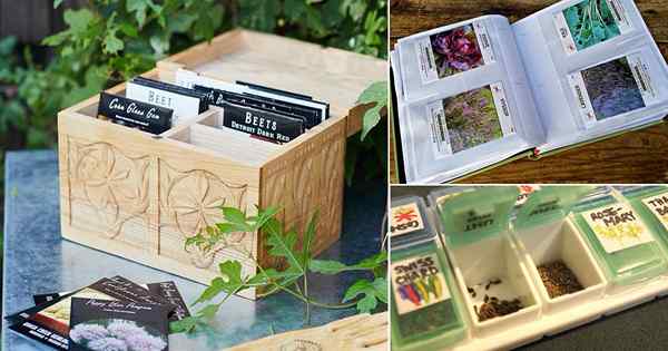16 DIY Seed Storage & Organisation Ideen