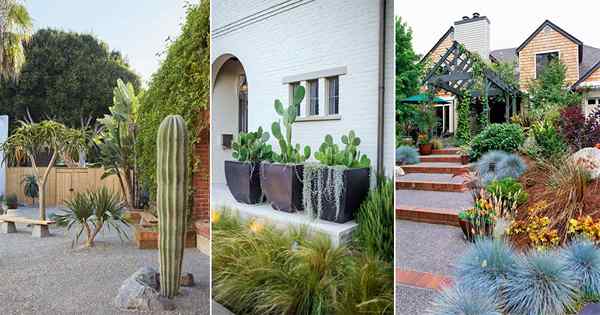 16 Ideas de paisajismo del desierto del patio delantero | Diseño de jardín tolerante a la sequía