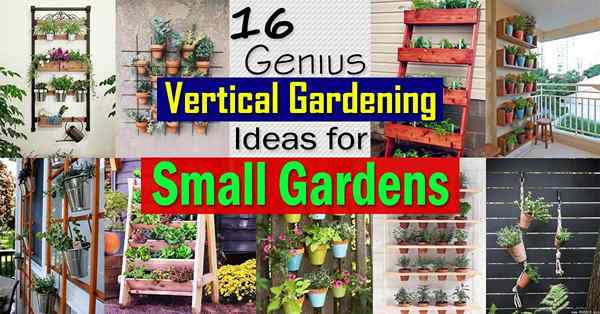 16 idées de jardinage vertical génie pour les petits jardins