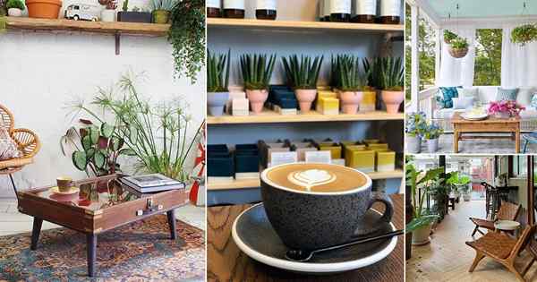 17 El mejor espacio de café con ideas de plantas | Café y plantas