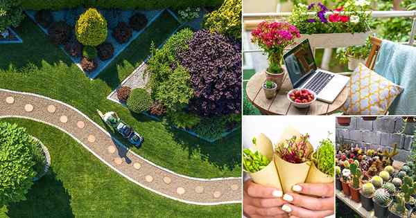 17 idéias inteligentes para ganhar dinheiro com jardinagem