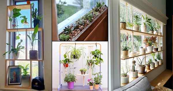 17 Geniusz Oszczędzanie przestrzeni porusza się, aby wyhodować więcej roślin wewnętrznych w twoim mieszkaniu
