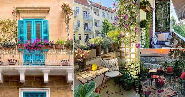 17 Zmysłowe ogrody balkonowe z czerwca 2022 r. Z Instagrama!