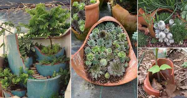18 Ide pot patah yang luar biasa untuk kebun