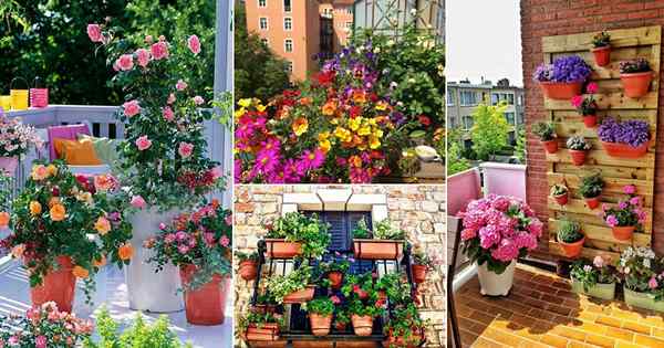 18 consejos para comenzar un balcón Jardín de flores | Diseño de jardín de balcón