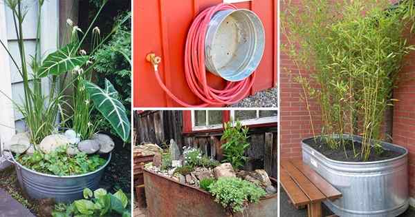 18 Utilisations de baignoire galvanisée inimaginable dans le jardin