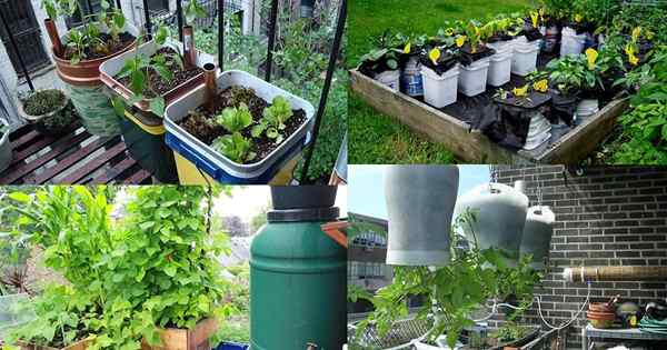 20 beste DIY-selbstbewusste Container Garten Ideen