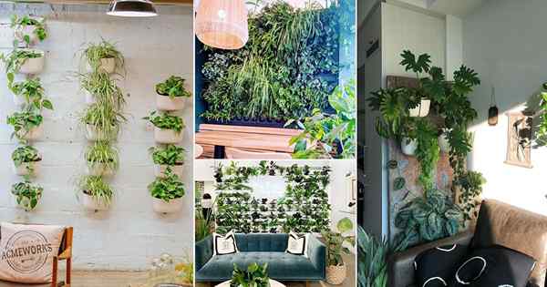 20 zielonych pomysłów na nowoczesną dekoracje ściany