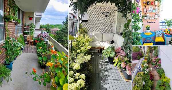 21 Fantastiques jardins de balcon de juillet 2022 d'Instagram