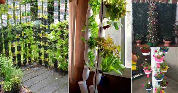 22 Idéias de jardim de torre de garrafa DIY | Jardins de garrafas verticais DIY