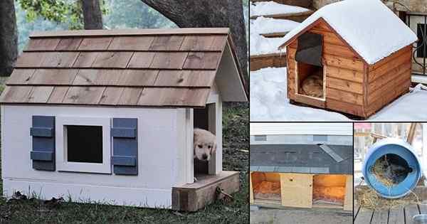 22 ideas de casa de perros con calefacción al aire libre de bricolaje para inviernos