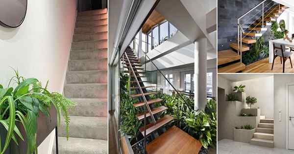 22 tangga paling menakjubkan dengan ide -ide tanaman untuk rumah