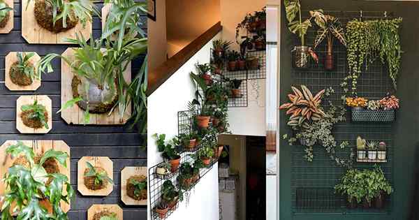 23 kreative und moderne Innenpflanzen Wanddekoration Ideen