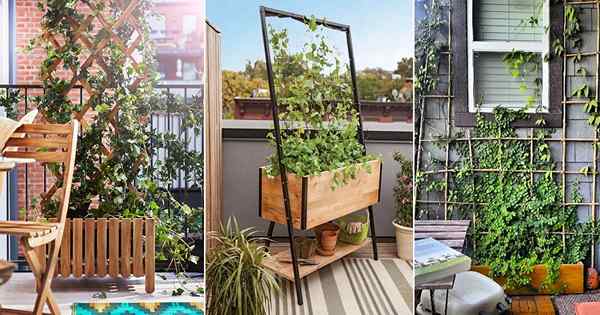 23 idées de treillis de bricolage pour les jardins de balcon