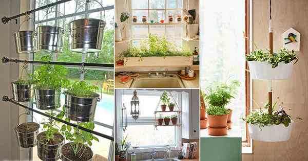 23 Idées de jardin d'herbe vraiment intelligente pour les jardiniers de la ville