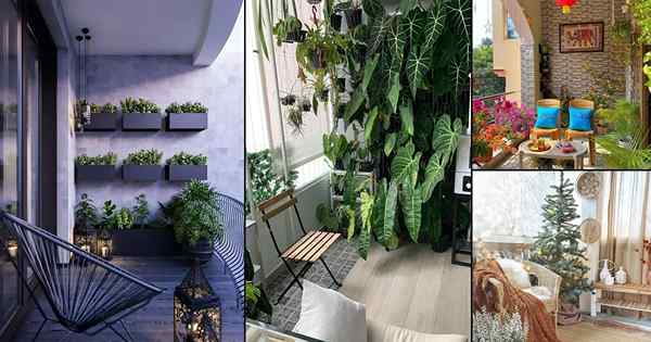 24 impresionantes jardines de balcón de diciembre de 2021