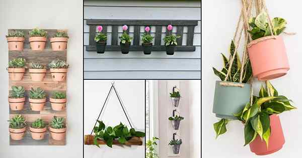 25 Idées de jardinières de mur de bricolage avec tutoriels | Jardinières flottantes cool