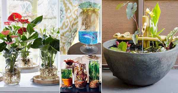 25 grandes idéias de jardim de água interna DIY