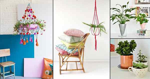25 idées modernes pour afficher les plantes d'intérieur avec style!