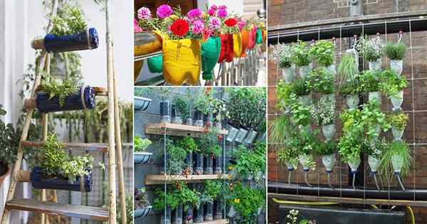 25 idéias de jardim vertical de garrafa de plástico | Jardim de garrafa de refrigerante