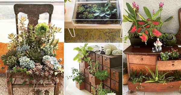 26 Ideas impresionantes de jardín de muebles de plantas de interior