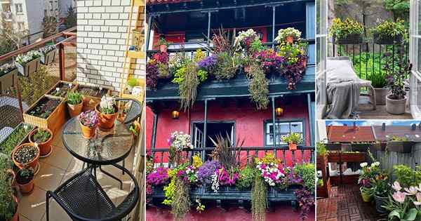 26 ideas de jardín de balcón de abril desde Instagram