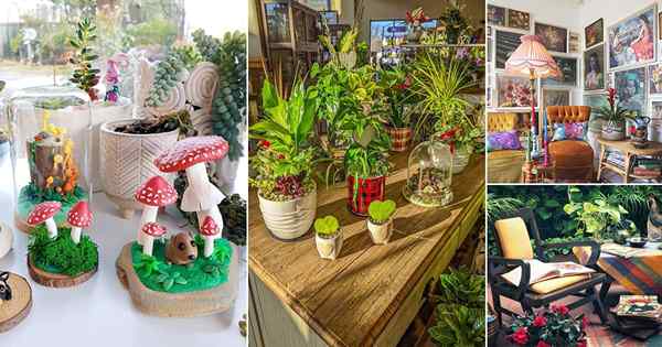 26 idées d'intérieur colorées avec de belles plantes d'intérieur