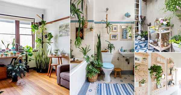 26 Kreative Möglichkeiten, wie Sie jeden Teil Ihres Hauses mit Pflanzen dekorieren können