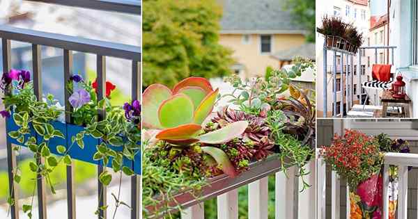 26 Idéias de plantador de ferrovias DIY para jardineiros de varanda