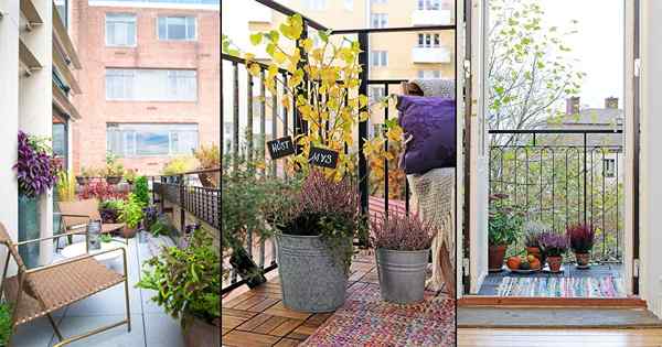 29 Idées de décoration de jardin d'automne festive | Images de balcon d'automne