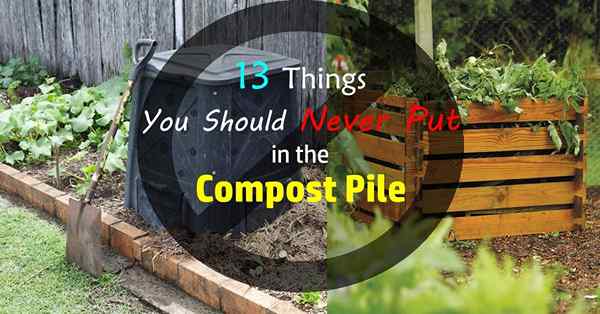 29 Dinge, die Sie nicht kompostieren können | Was nicht kompostiert werden soll