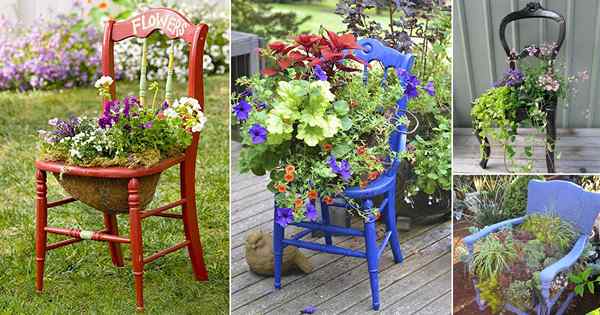 30 coole Stuhl Pflanzer Ideen für Haus und Garten