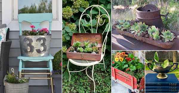 31 Idées de jardinières vintage DIY | Pots des anciens articles