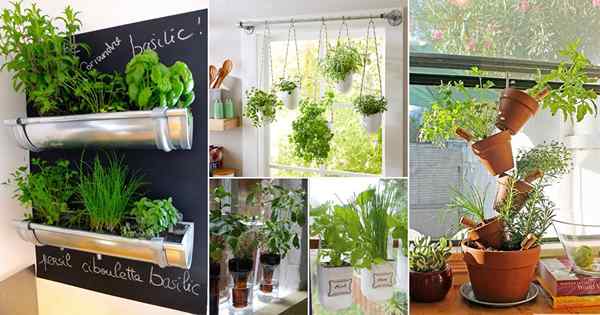 32 ideas de jardín de hierbas colgantes de bricolaje para espacios pequeños!