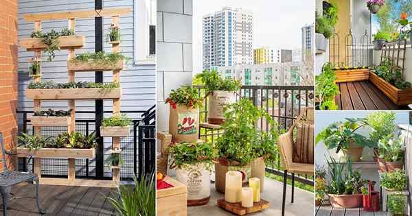 35 jardins de balcon qui enseignent «grandir plus dans moins d'espace»
