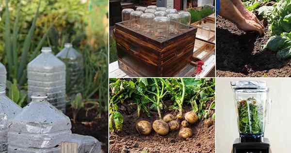 37 poderosos hacks de jardinería para convertirse en el jardinero autosuficiente