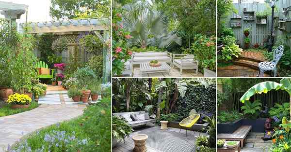 40 Pequenas idéias de jardim de canto relaxantes