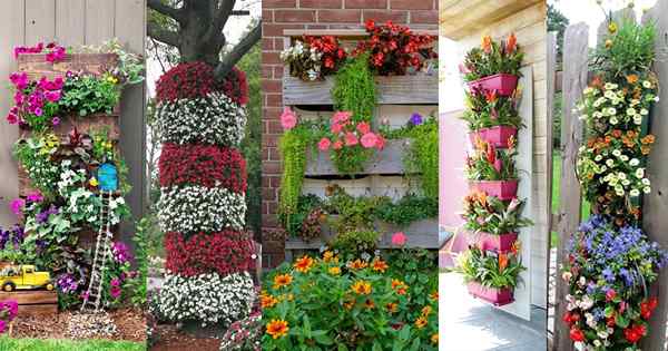 41 hermosas imágenes de jardín de flores verticales